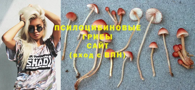 KRAKEN ССЫЛКА  Лиски  darknet клад  купить  цена  Псилоцибиновые грибы MAGIC MUSHROOMS 